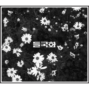 青青视频精品观看视频
