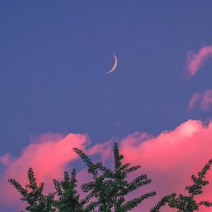 青青视频精品观看视频
